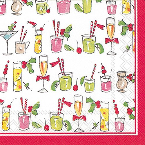 Boston International Ideal Home Range 20-Count Rosanne Beck Fun Paper Cocktail Napkins, Multicolored