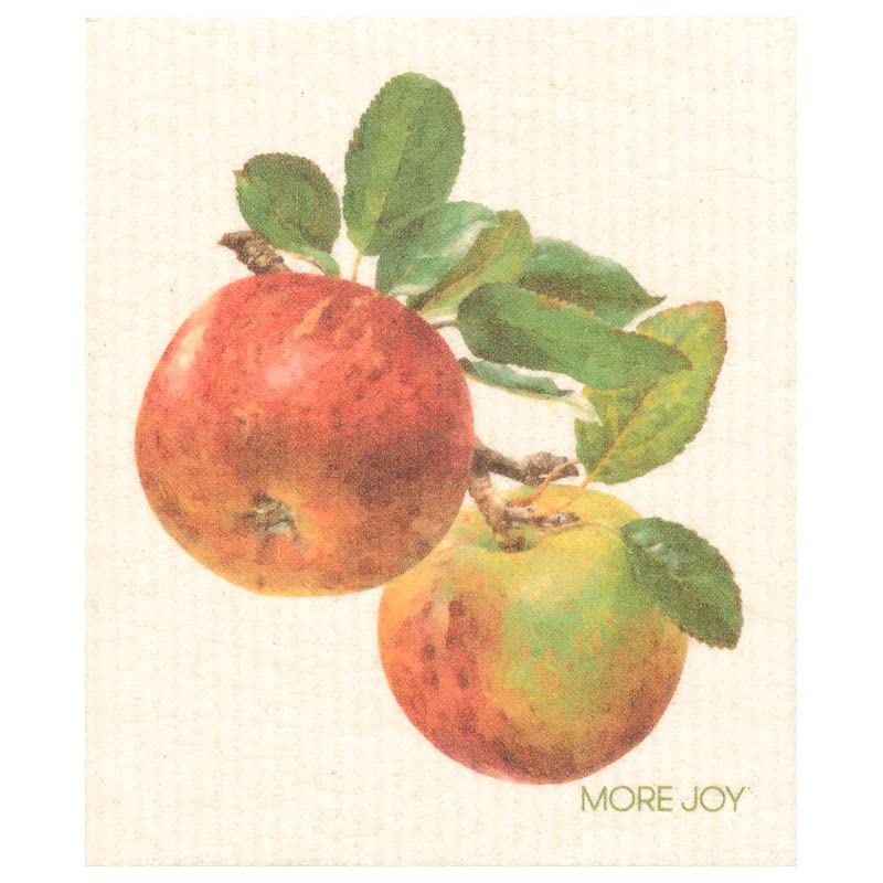 North Ridge Marketing More Joy -Swedish Dishcloths, Pack of 2 Food Theme¬†(Apples), 5327