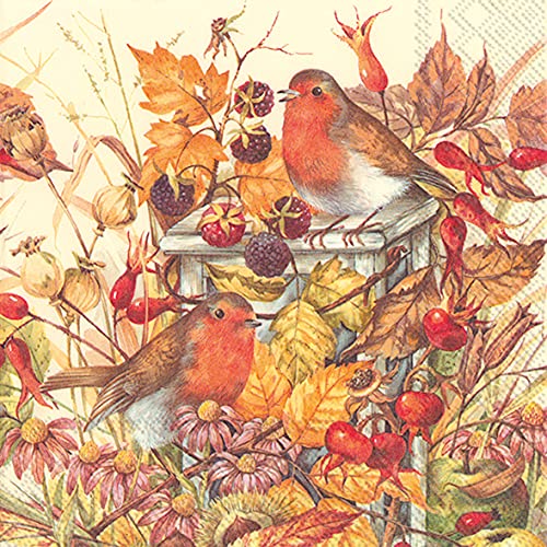 Abbott Collection  89-LPN-DP-760 Luncheon Most Welcome Visitor Napkins. 20 Pack, Multi