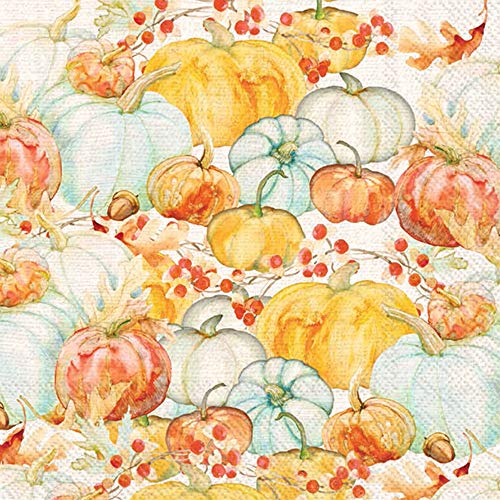 Boston International C028900 IHR 20-Count 3-Ply Cocktail Beverage Paper Napkins, 5 x 5-Inches, Watercolor Pumpkins