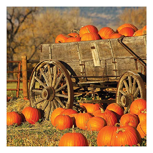 Fun Express Pumpkin Patch Backdrop Banner -6 feet long - Fall and Halloween Party Decor