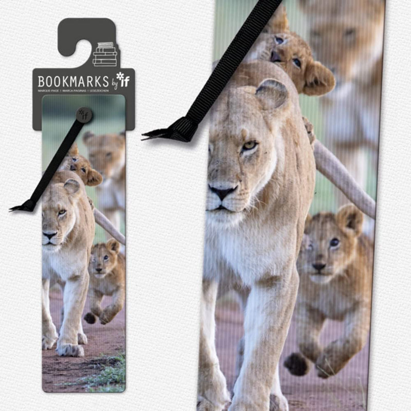 3D Bookmarks - African Lion Cubs