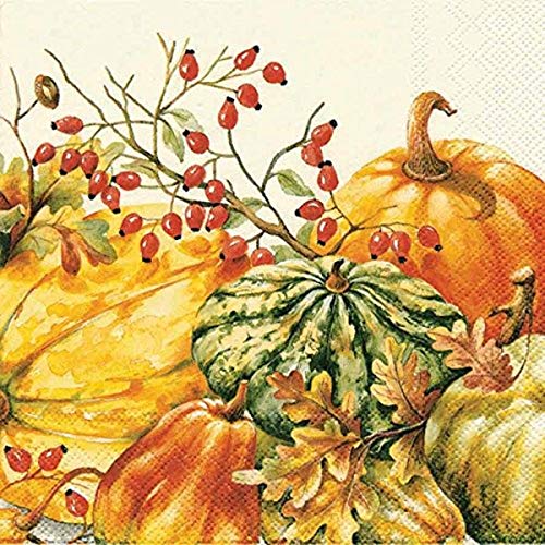 Boston International Ideal Home Range 20 Count Cocktail Napkins, Calabaza Cream
