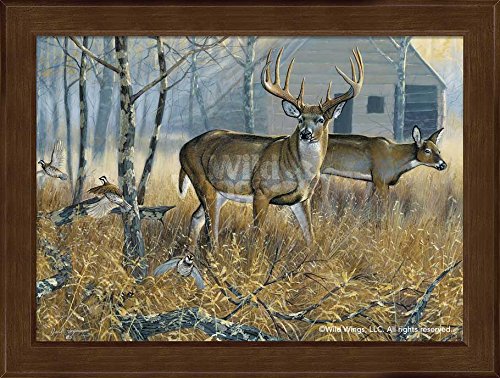 Wild Wings(MN) Mixed Company - Deer & Quail Framed Studio Canvas by Jack Hagerman