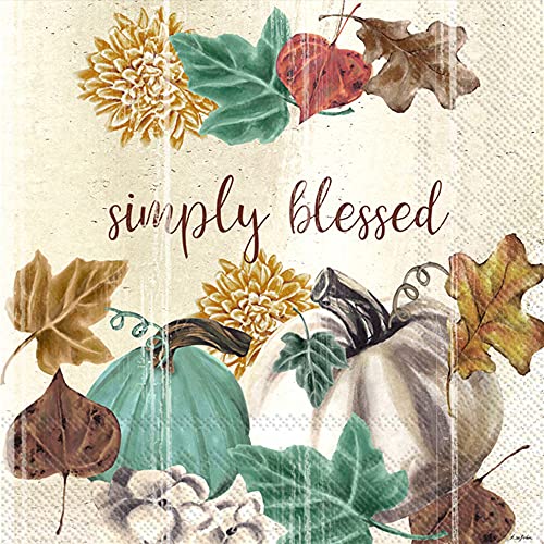 Boston International IHR 3-Ply Cocktail Beverage Paper Napkins, 5 x 5-Inches, Simply Blessed Pumpkins