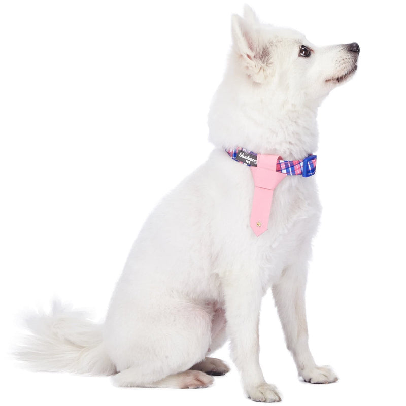 Blueberry Pet 4 Patterns Multiple Hues Scottish Plaid Style Adjustable Tie Dog Collar, Medium, Neck 14.5"-20"