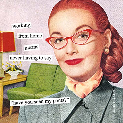 Boston International Anne Taintor Paper Napkins, 20-Count Cocktail Size, Working From Home