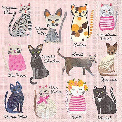 Boston International IHR 3-Ply Paper Napkins, Cocktail, Cool Cats