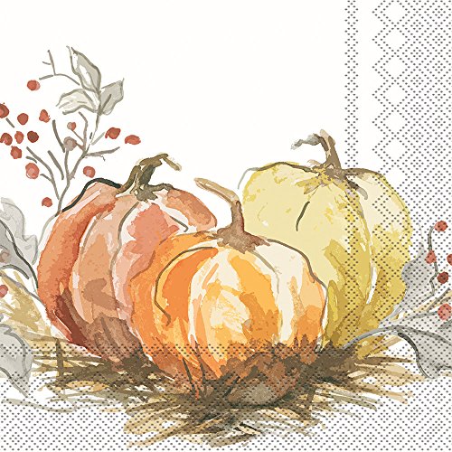 Boston International IHR 3-Ply Paper Napkins, 20-Count Cocktail Size, Painted Pumpkin