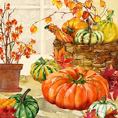 Boston International IHR Floral Fall Autumn Thanksgiving 3-Ply Paper Napkins, 20-Count Lunch Size, Heirloom Pumpkins