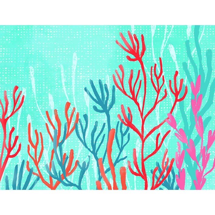 Design Design 118-09921 Coral Tranquility Blank Boxed Notecard, 5-inch Length
