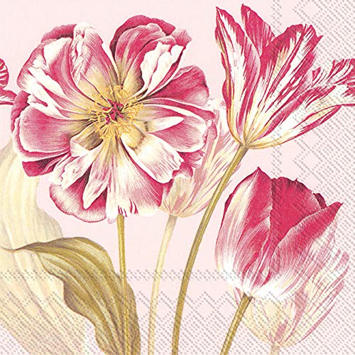 Boston International IHR 3-Ply Lunch Paper Napkins, 6.5 x 6.5-Inches, Majestic Tulips Rose