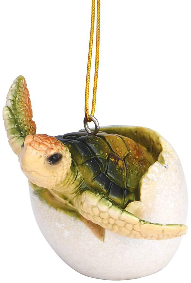 Cape Shore Christmas Glossy Resin Baby Turtle Hatching from Shell Holiday Tree Decoration, Home Collection