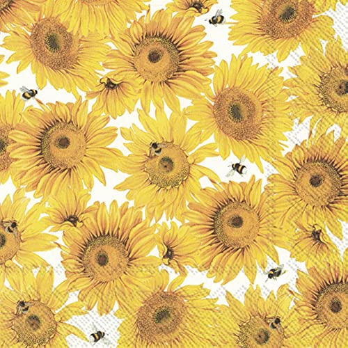 Boston International IHR 20-Count Luncheon 3-Ply Paper Napkins, 6.5 x 6.5-Inches, Sunflower
