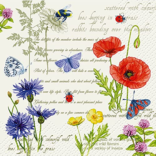 Abbott Collection  88-L-129200 Luncheon Vintage Summer Napkins. 20 Pack, Multi