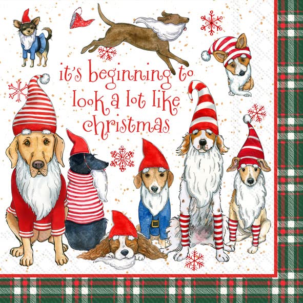 IHR Ideal Home Range Cocktail Disposable 3-Ply Paper Beverage Napkins, 5" x 5", Gnome Dogs