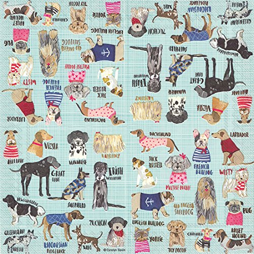 Boston International IHR 3-Ply Paper Napkins, 20-Count Cocktail Size, Hot Dog Breeds