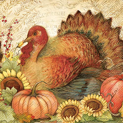 Boston International IHR Cocktail Beverage Paper Napkins, 5 x 5-Inches, Filigree Turkey