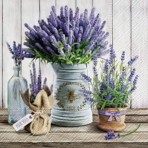 Abbott Collection  88-L-122500 Luncheon Lavender in Bucket Napkins. 20 Pack, 6.5 inches SQ, Purple