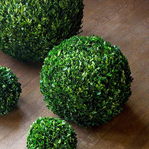 Park Hill Collection EBD80085 Preserved Ball, 16-inch Diameter, Wood