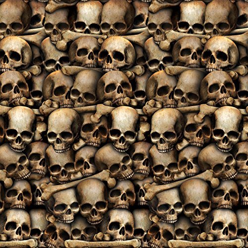 Beistle Skulls and Bones Halloween Printed Plastic Photography Backdrop Dark Creepy Catacombs Decorations for Haunted House Parties, 4&