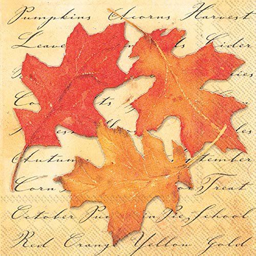 Boston International IHR 20-Count Luncheon 3-Ply Paper Napkins, 6.5 x 6.5-Inches, Autumn Splendor