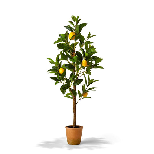 Two's Company 53001 Faux Lemon Tree in Terracotta Pot, 13.75-inch High