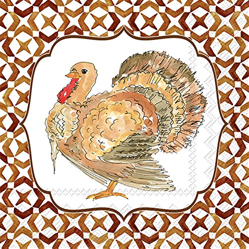 Boston International Ideal Home Range 20 Count Rosanne Beck Paper Cocktail Napkins, Cocktail Turkey