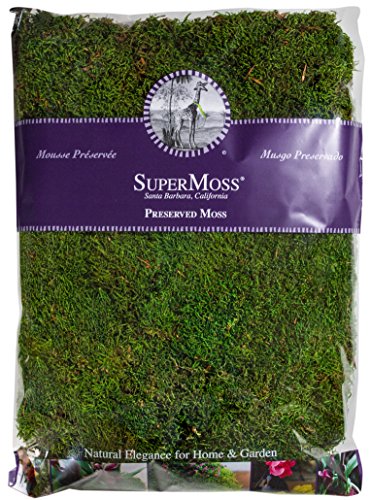 burton + BURTON Super Moss 21513 Preserved Sheet Moss, Fresh Green, 16-Ounce