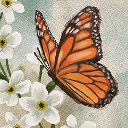 Carson Home Butterfly House Coaster, 4-inch Square, Set of 4