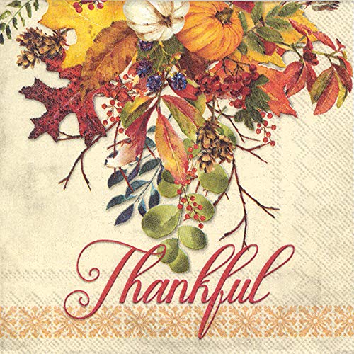 Boston International IHR 20-Count Beverage/Cocktail 3-Ply Paper Napkins, 5 x 5-Inches, Fall Gathering