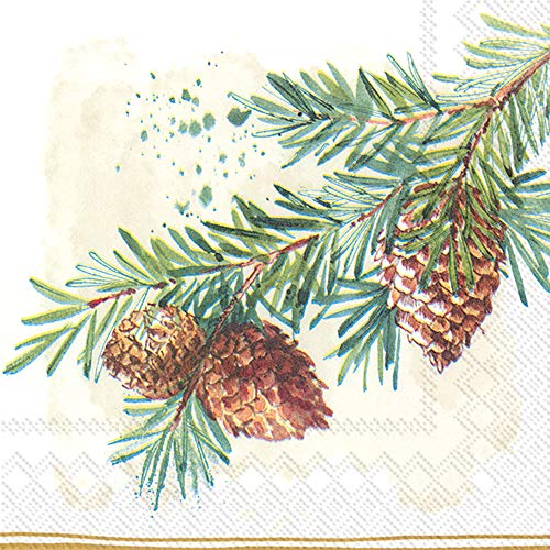 Boston International IHR Cocktail Beverage Paper Napkins, 5 x 5-Inches, Decorative Branches,C828500