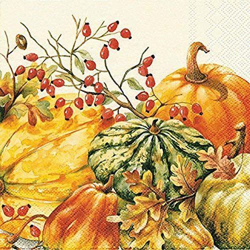 Boston International Ideal Home Range 20 Count Lunch Napkins, Calabaza Cream