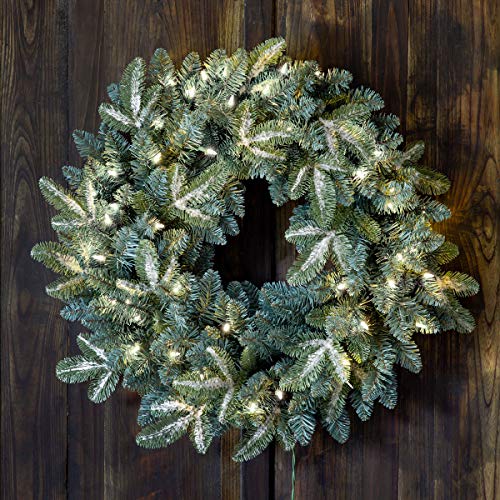 Park Hill Collection XPW00291 Frosted Blue Spruce Wreath with Led Lights, 24-inch Diameter, Plastic and Wire