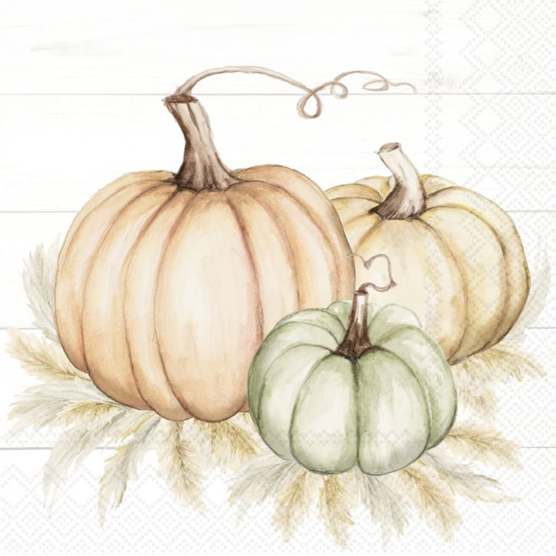 IHR Ideal Home Range Cocktail Disposable 3-Ply Paper Beverage Napkins, 5" x 5", Pumpkin Trio