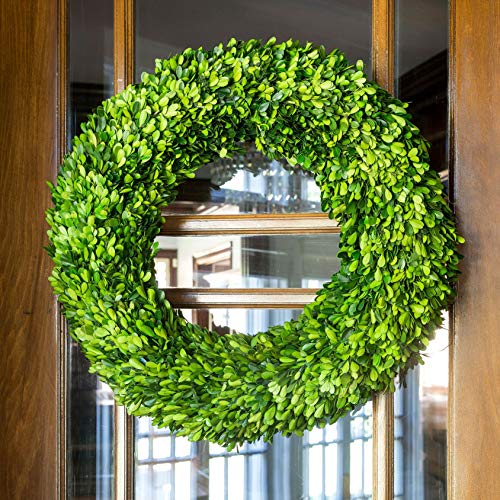 Park Hill Collection 24" Preserved Boxwood Wreath