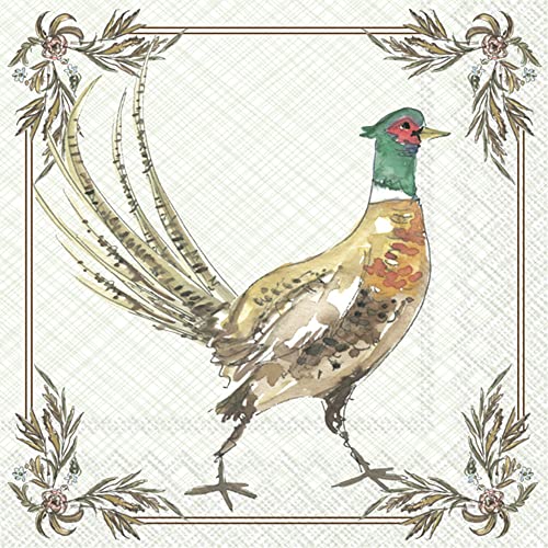 Boston International Rosanne Beck Fall Autumn Halloween Thanksgiving IHR 3-Ply Paper Napkins, 20-Count Cocktail Size, Pheasant