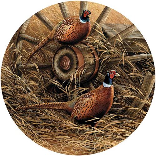 Wild Wings(WI) Pheasant Coasters by Rosemary Millette