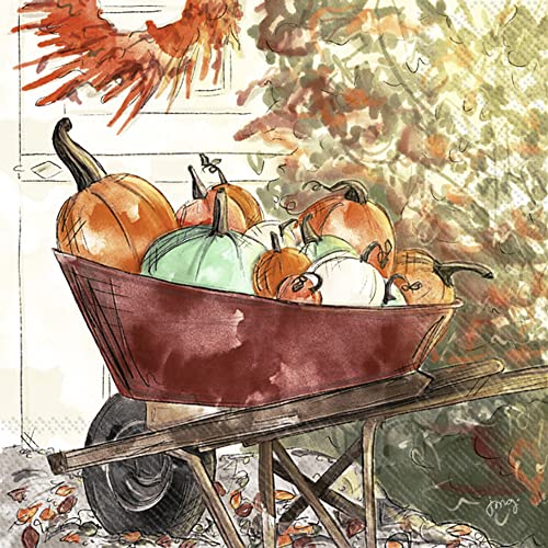 Boston International IHR Fall Autumn Halloween Thanksgiving 3-Ply Paper Napkins, 20-Count Cocktail Size, Pumpkin Haul