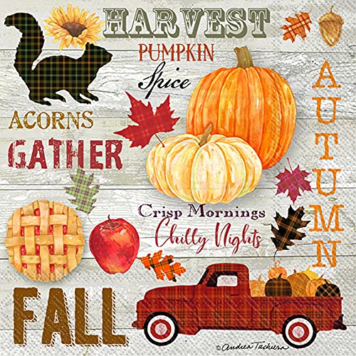 Boston International IHR 3-Ply Cocktail Beverage Paper Napkins, 5 x 5-Inches, Autumn Word Play