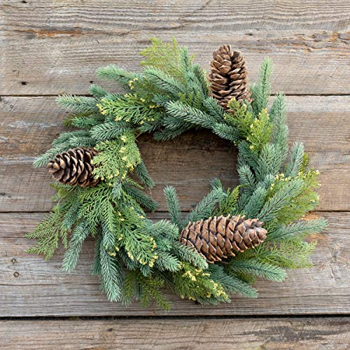 Park Hill Collection XPW82203 Mixed Evergreen Wreath, 24-inch Diameter