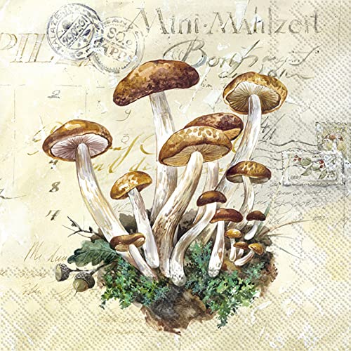 Boston International IHR Fall Autumn Halloween Thanksgiving 3-Ply Paper Napkins, 20-Count Lunch Size, Mushrooms Harvest- Cream