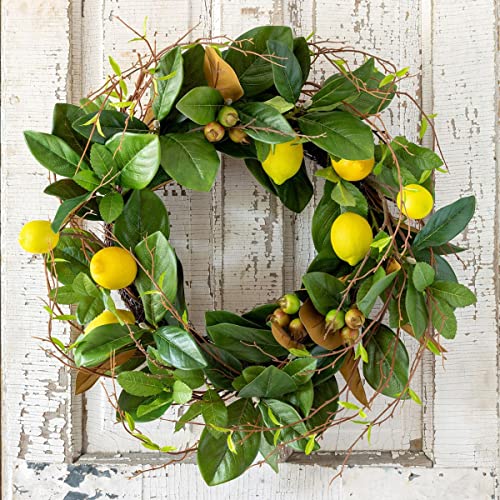 Park Hill Collection EBW00310 Lemon and Magnolia Leaf Wreath, 28-inch Height