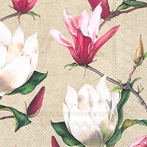 Boston International IHR 3-Ply Paper Napkins, 20-Count Cocktail Size, Wake Up In Spring Cream