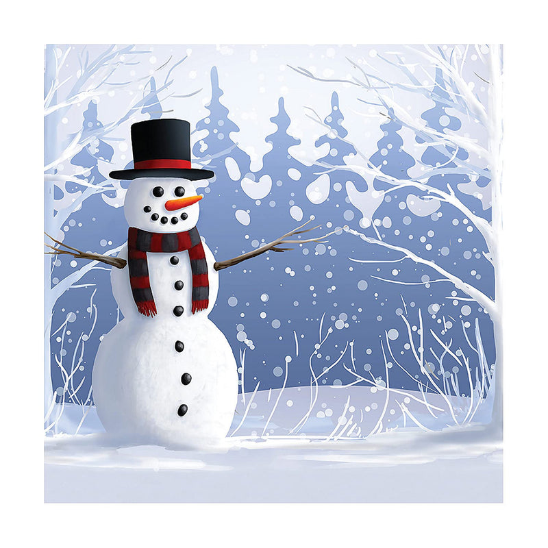 Snowman Backdrop Banner - Party Decor - 1 Piece