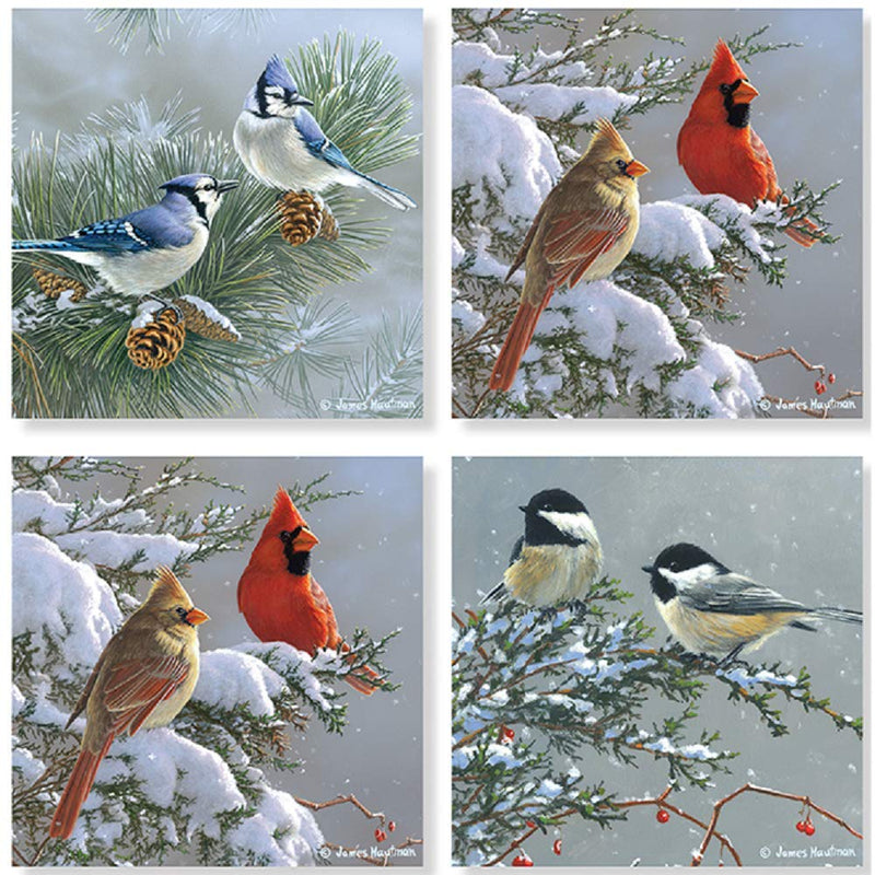 Carson Winter Birds On Pine Square House Coaster Set of 4