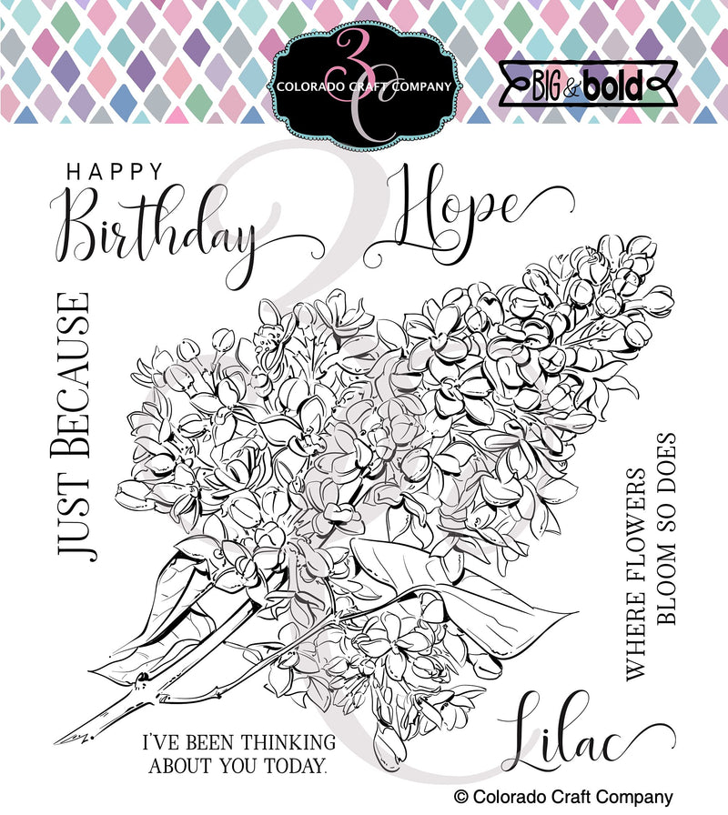 Colorado Craft Company Clear Stamps 6"X6"-Just Because Lilacs-Big & Bold