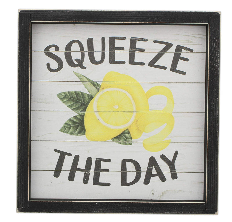 Rustic Wood Framed Wall Art (Squeeze the Day)